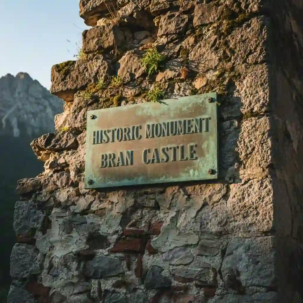 After — localized by our ai image translator; clean background and preserved design for a professional, globally readable result.